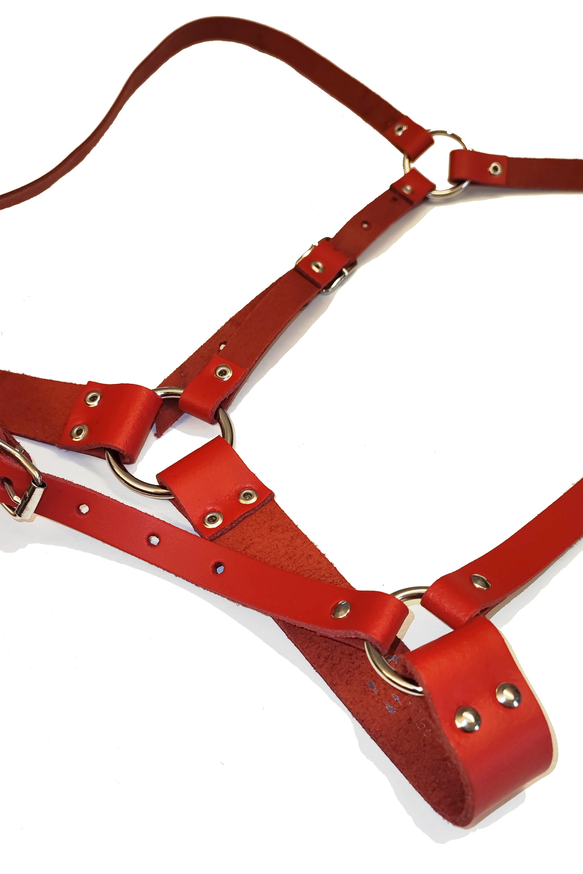 ORBIT LEATHER HARNESS [Red]